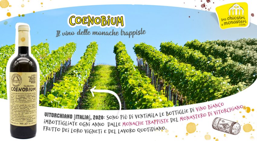 Coenobium, il vino delle trappiste di Vitorchiano